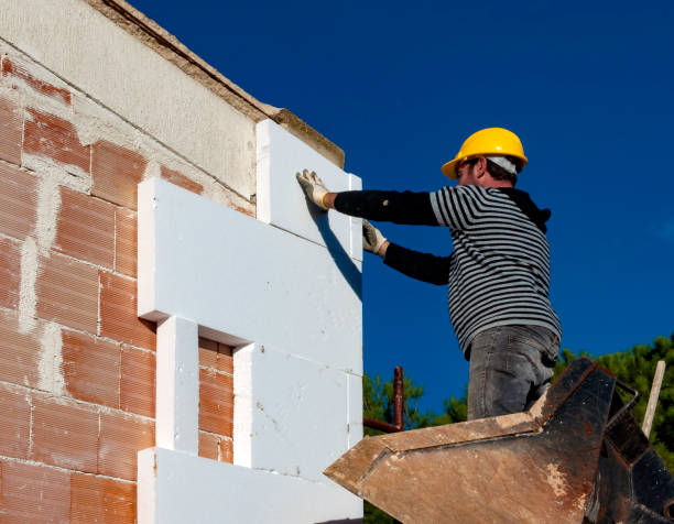 Best Best Insulation Companies  in Randleman, NC