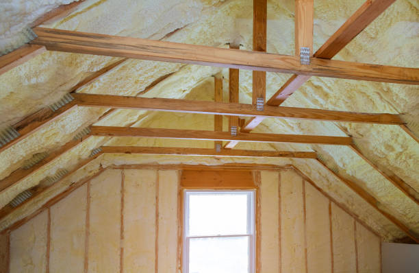 Best Insulation Replacement Services  in Randleman, NC