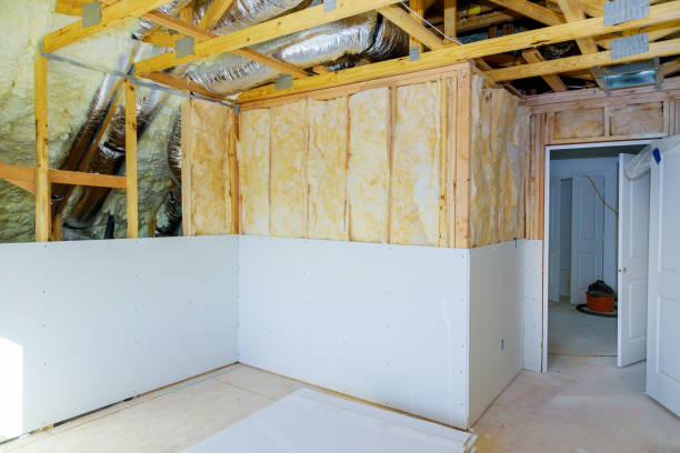 Best Garage Insulation Installation  in Randleman, NC