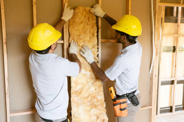 Best Insulation for Commercial Buildings  in Randleman, NC