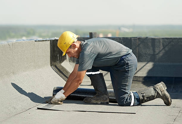 Best Commercial Insulation Contractor  in Randleman, NC