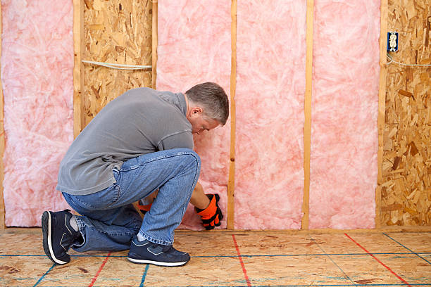 Best Wall Insulation Contractor  in Randleman, NC